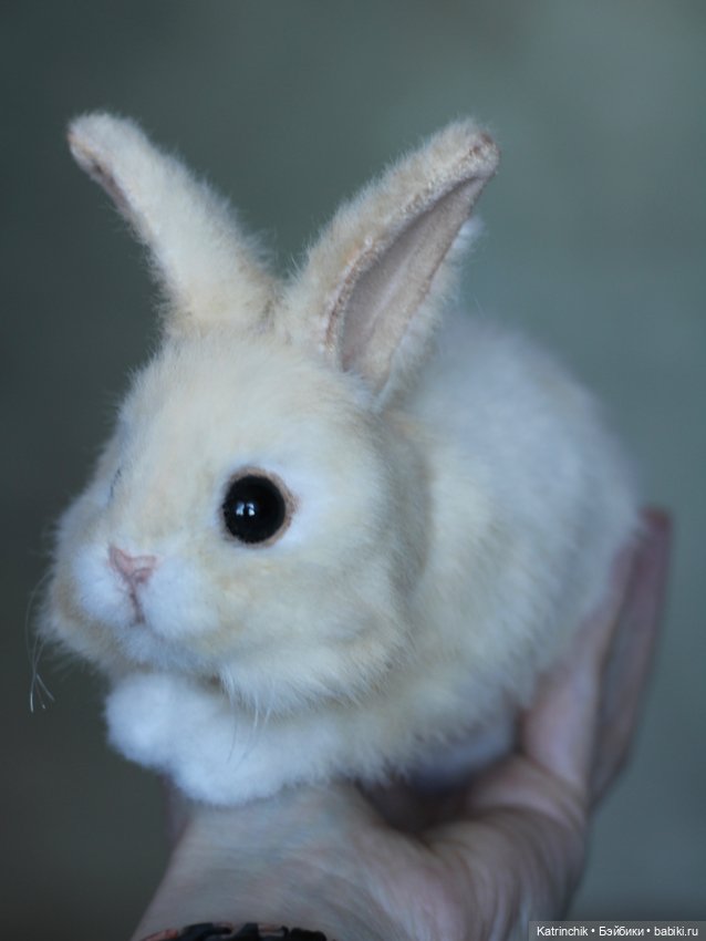 Кролик — Авторские игрушки (фото 9)