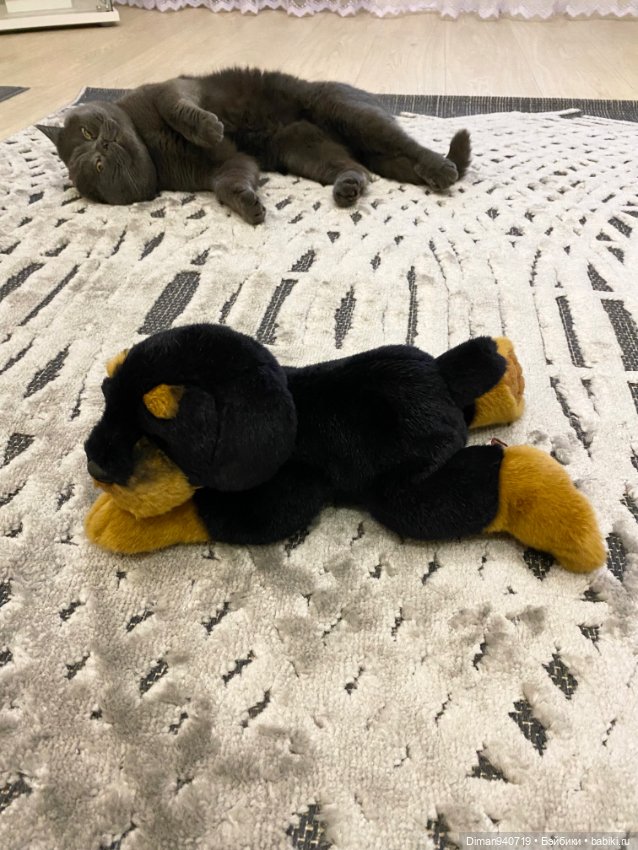 Реалистичный щенок ротвейлера (фото 5)