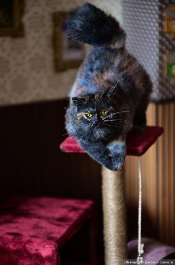 КотоДомик для котиков 1/6 (фото 3)