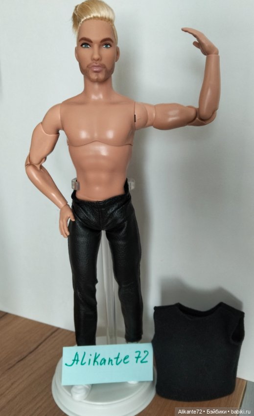 Ken looks Шон фул — Игровые куклы (фото 2)