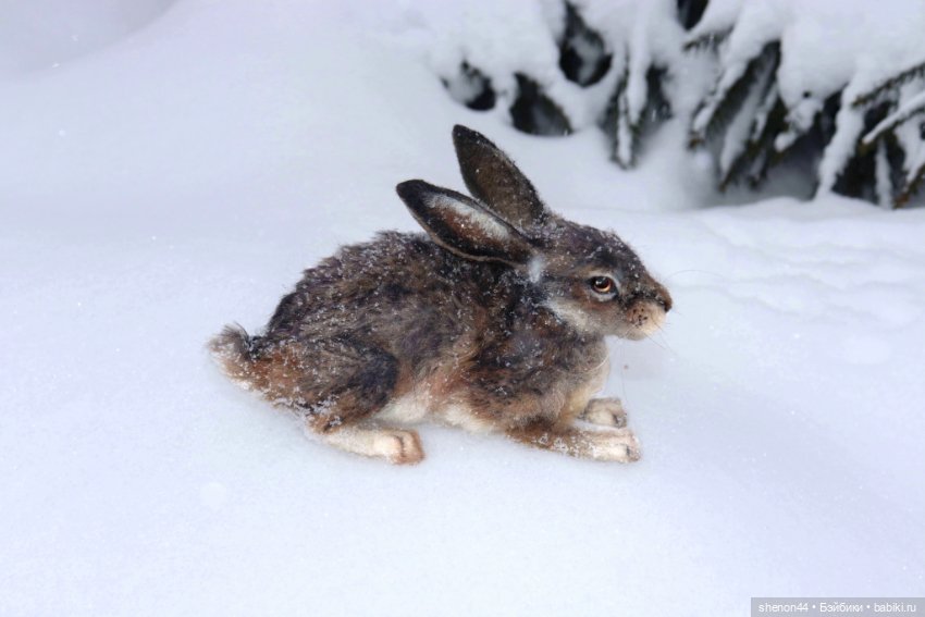 Авторские игрушки (фото 7)