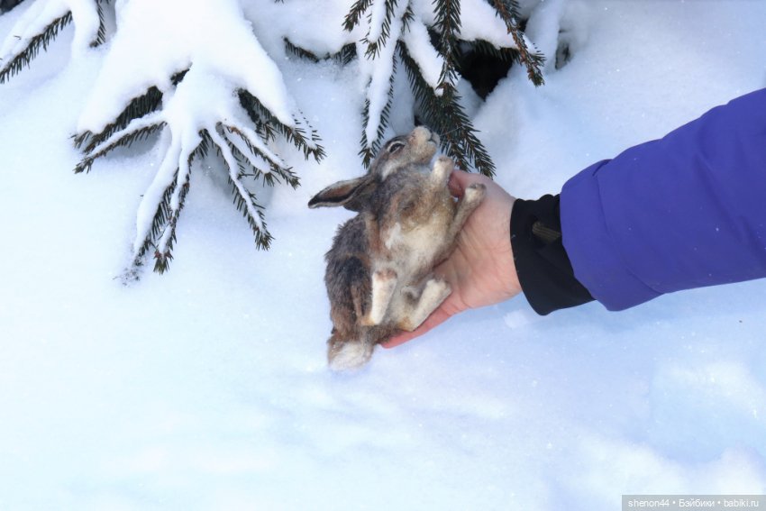 Авторские игрушки (фото 8)