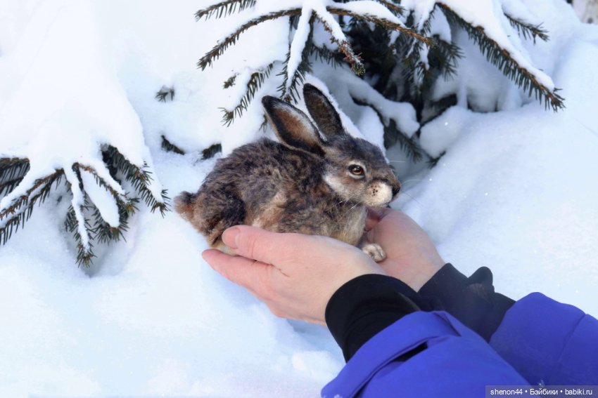 Авторские игрушки