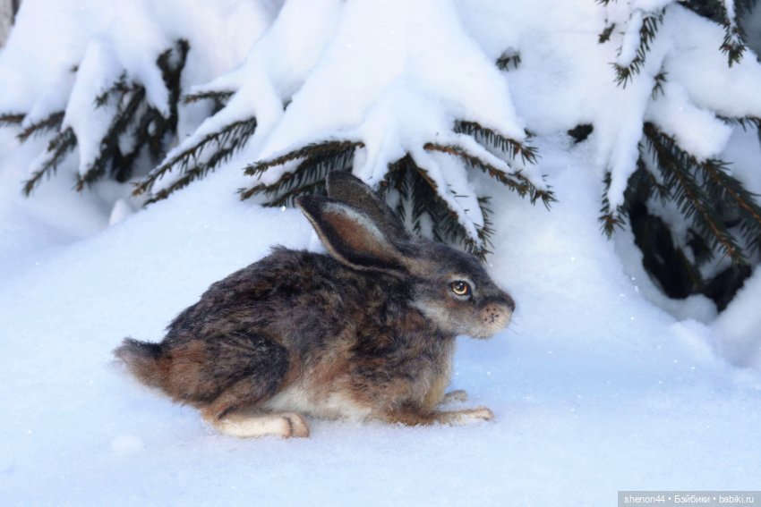 Авторские игрушки (фото 5)