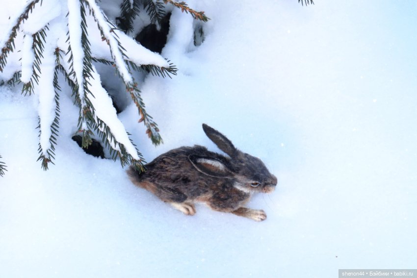 Авторские игрушки (фото 4)