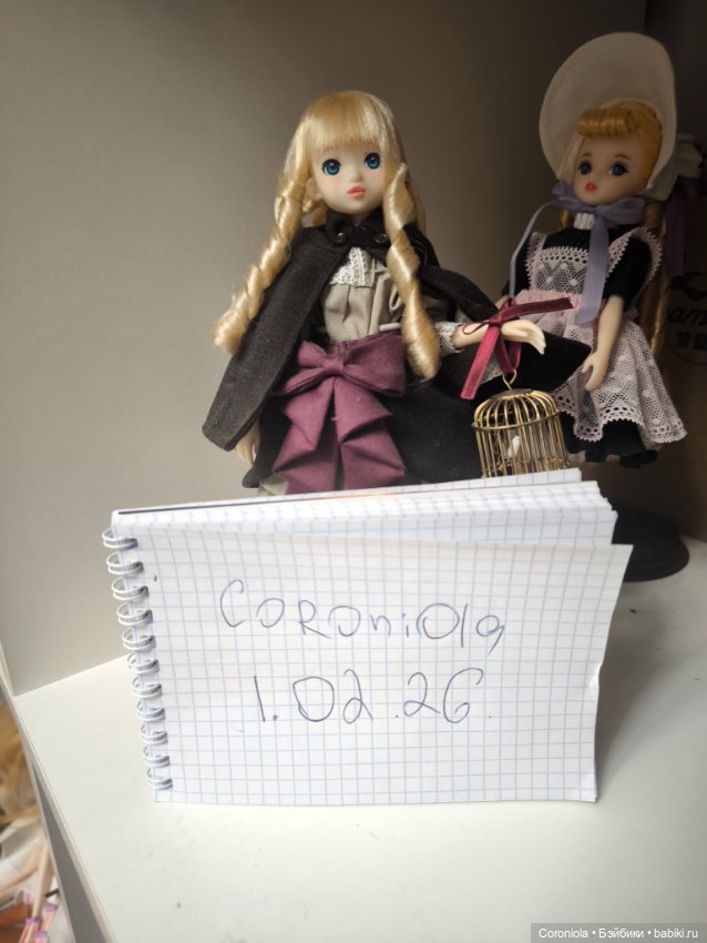 Ruruko Bird Cage Girl — Азиатские куклы