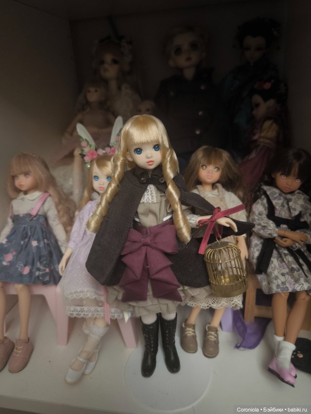 Ruruko Bird Cage Girl — Азиатские куклы (фото 3)