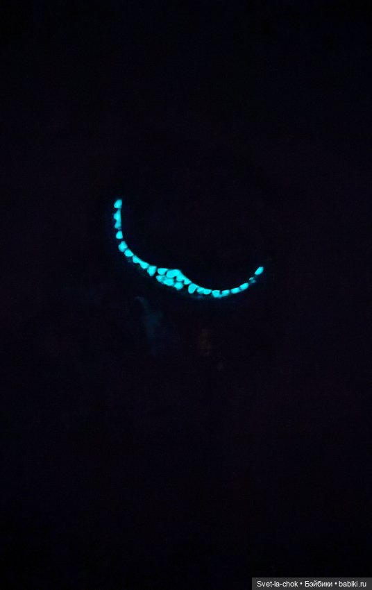 Чеширский голубоглазый кот (фото 8)