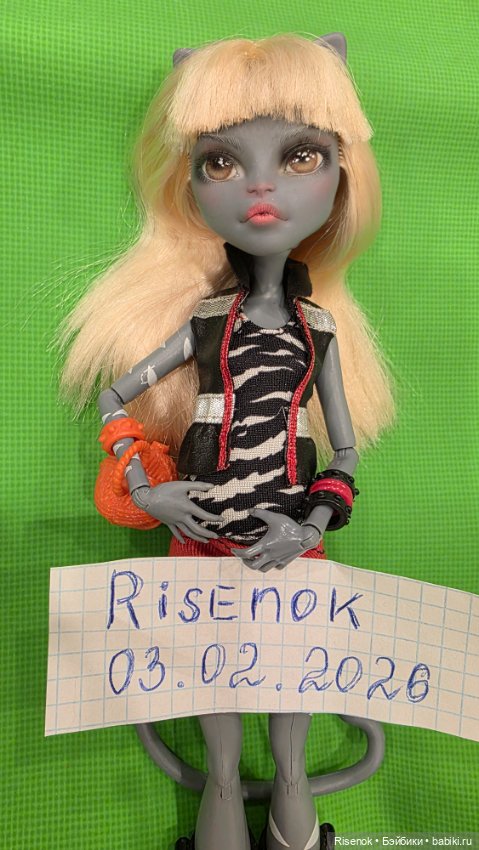 ООАК Мяулодия Monster high (фото 2)