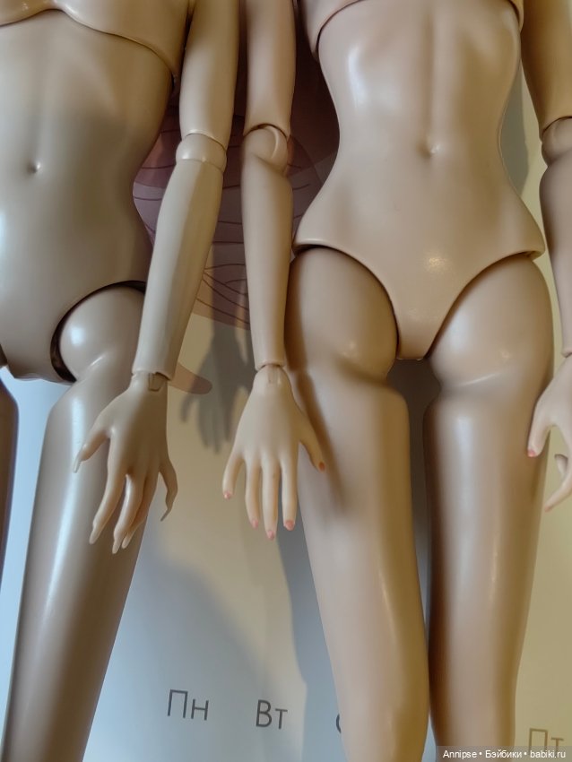 Лот тел для кукол Mengf и Sevrwell (фото 3)