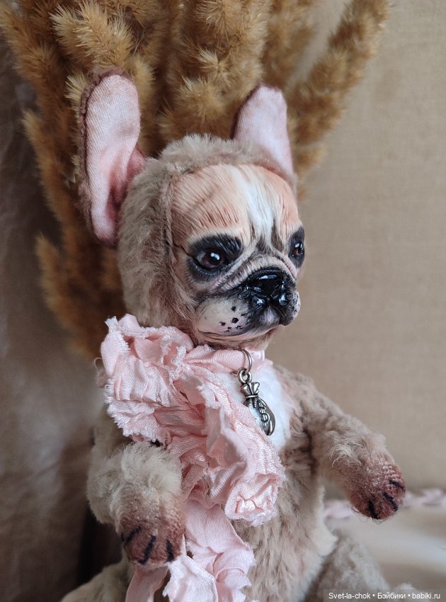 Французский бульдог Круассанчик (фото 2)