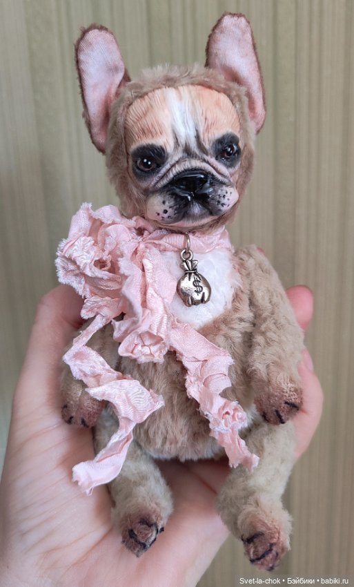 Французский бульдог Круассанчик (фото 3)