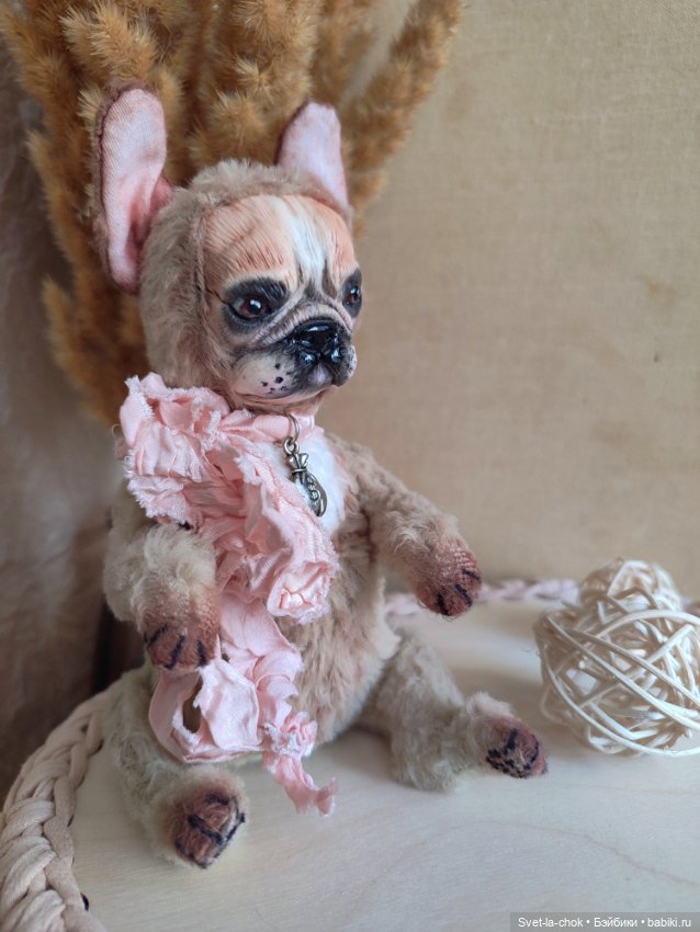 Французский бульдог Круассанчик (фото 4)