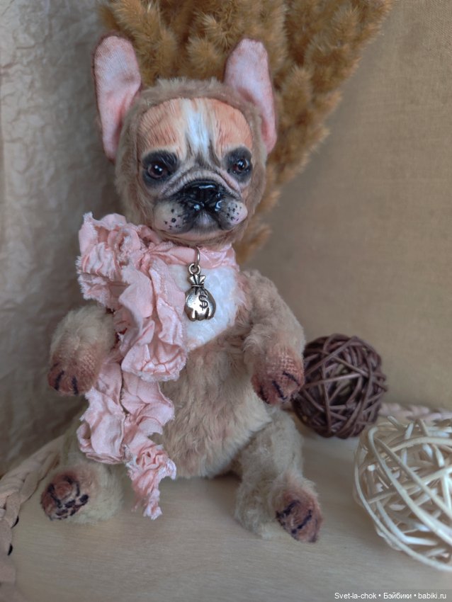 Французский бульдог Круассанчик