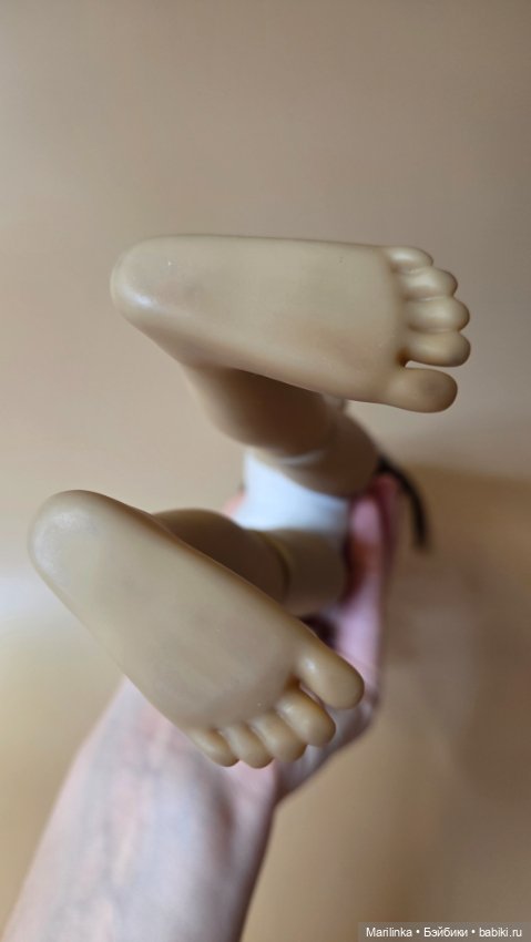 Бэлла рождественская Ruby red (фото 2)