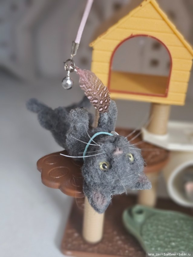 Котик голубого окраса ищет дом (фото 3)