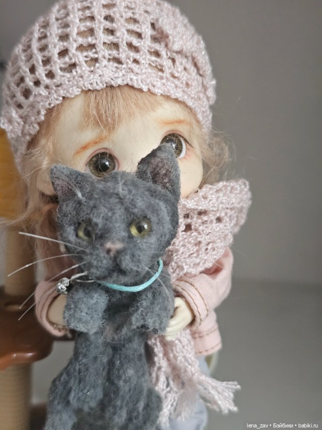 Котик голубого окраса ищет дом (фото 4)