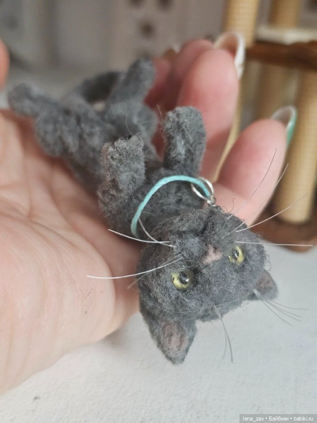 Котик голубого окраса ищет дом (фото 8)