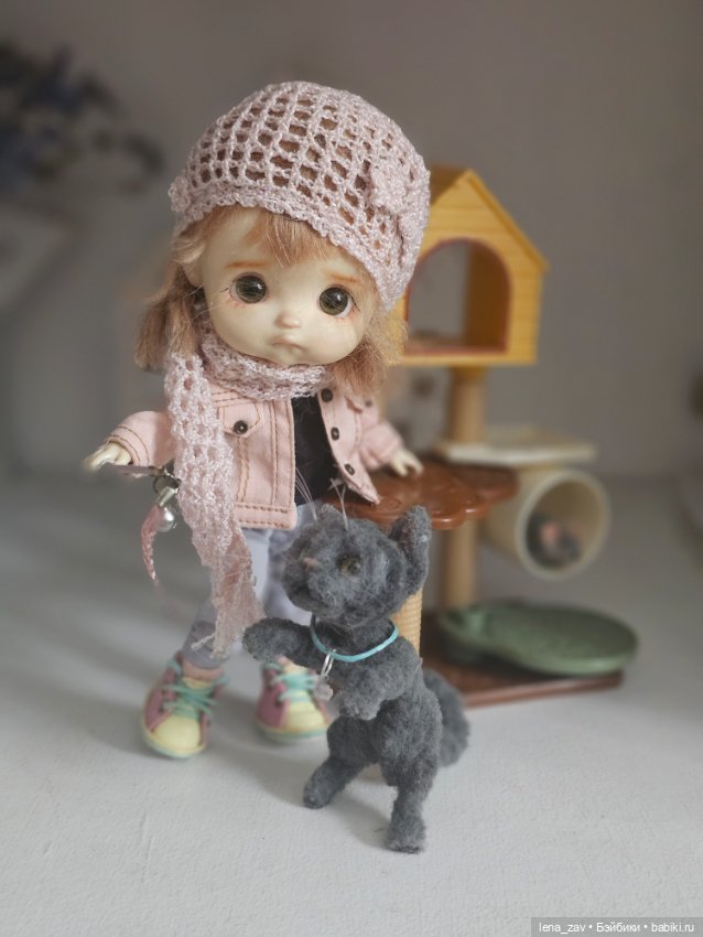 Котик голубого окраса ищет дом (фото 6)