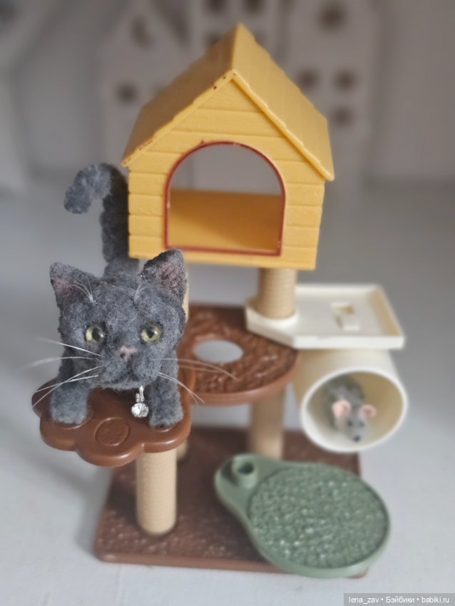 Котик голубого окраса ищет дом (фото 7)