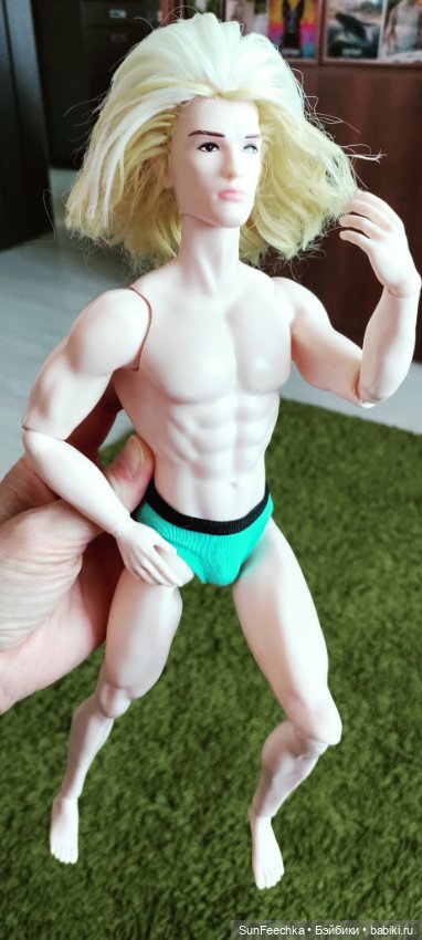 Китайский Адонис (прошитый) (фото 2)