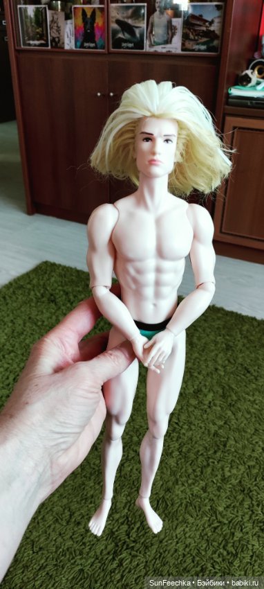 Китайский Адонис (прошитый) (фото 4)