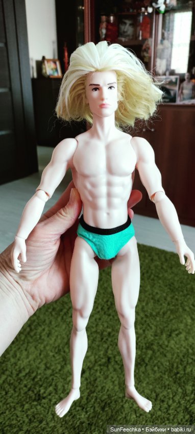 Китайский Адонис (прошитый) (фото 3)