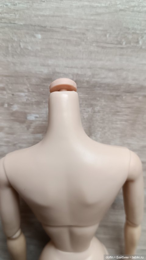 Тело ФР3 — Фэшн (фото 2)