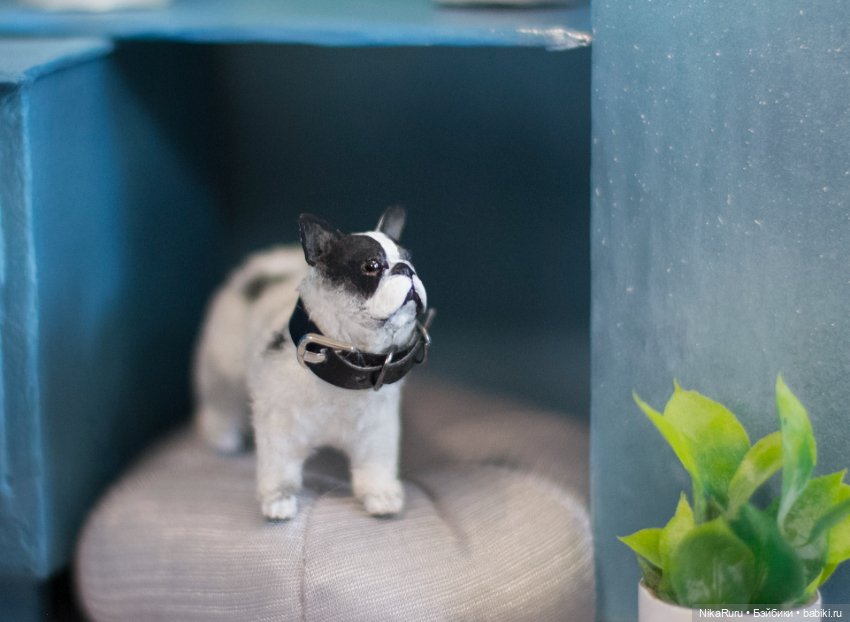 Французский бульдог для Барби в смешанной технике формат 1/6 (фото 4)