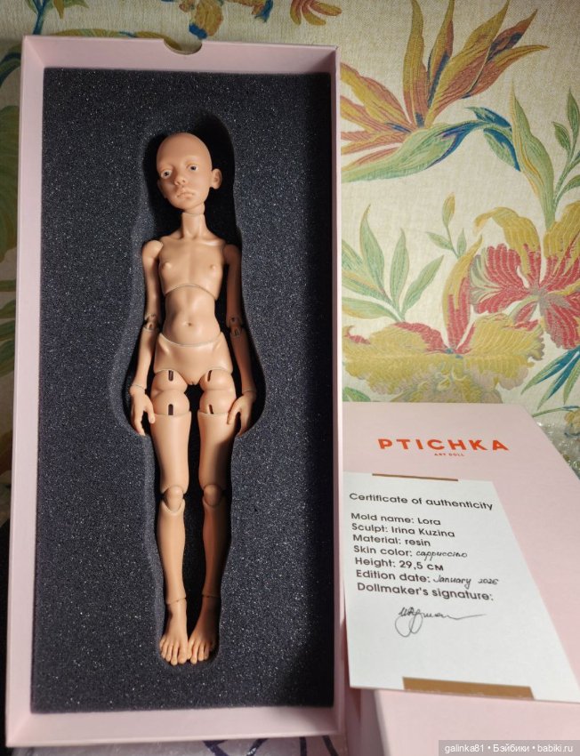 Птичка 2026 год, капучино без рассрочки 75т. р