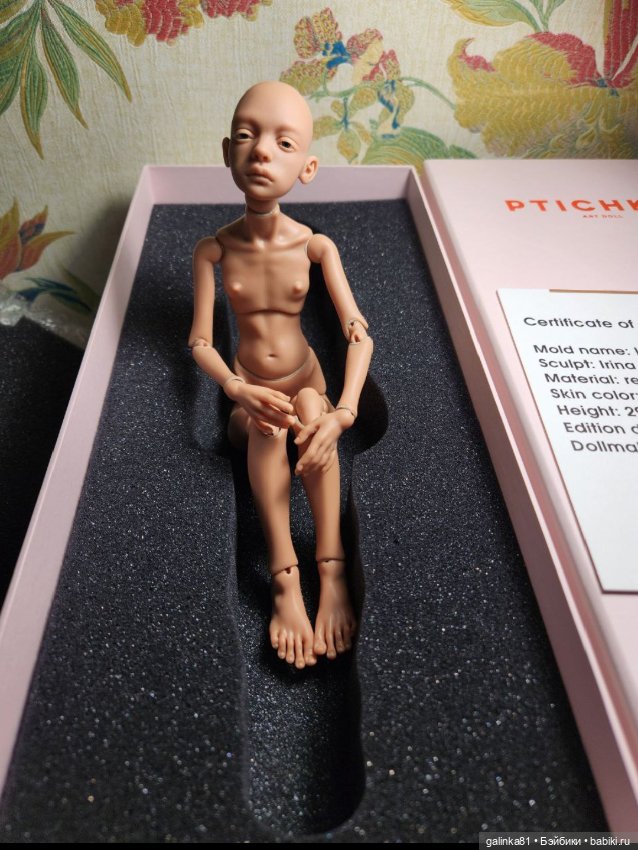 Птичка 2026 год, капучино без рассрочки 75т. р (фото 2)