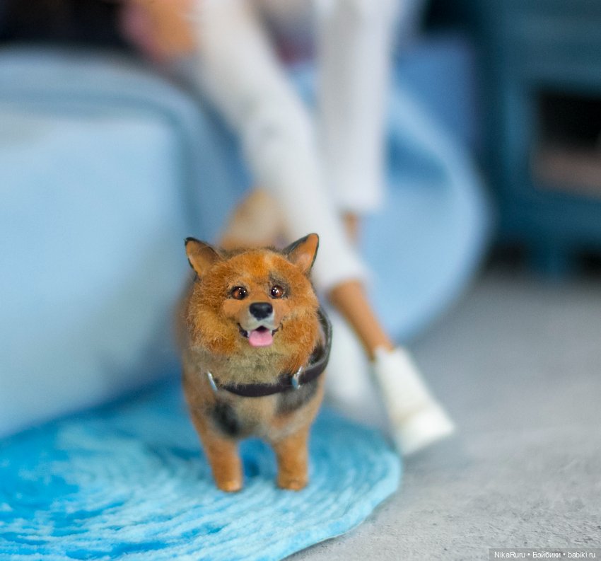 Корги собака для Барби, в смешанной технике формат 1/6 (фото 3)