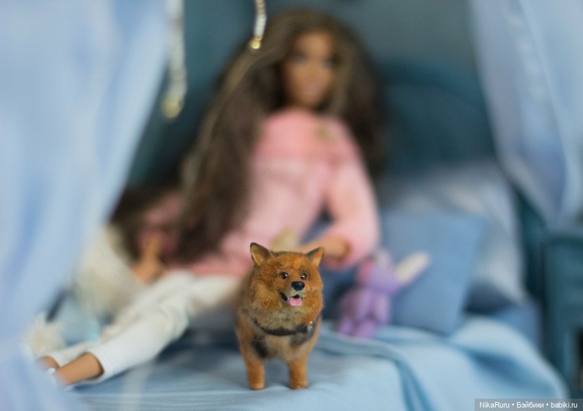 Корги собака для Барби, в смешанной технике формат 1/6 (фото 4)