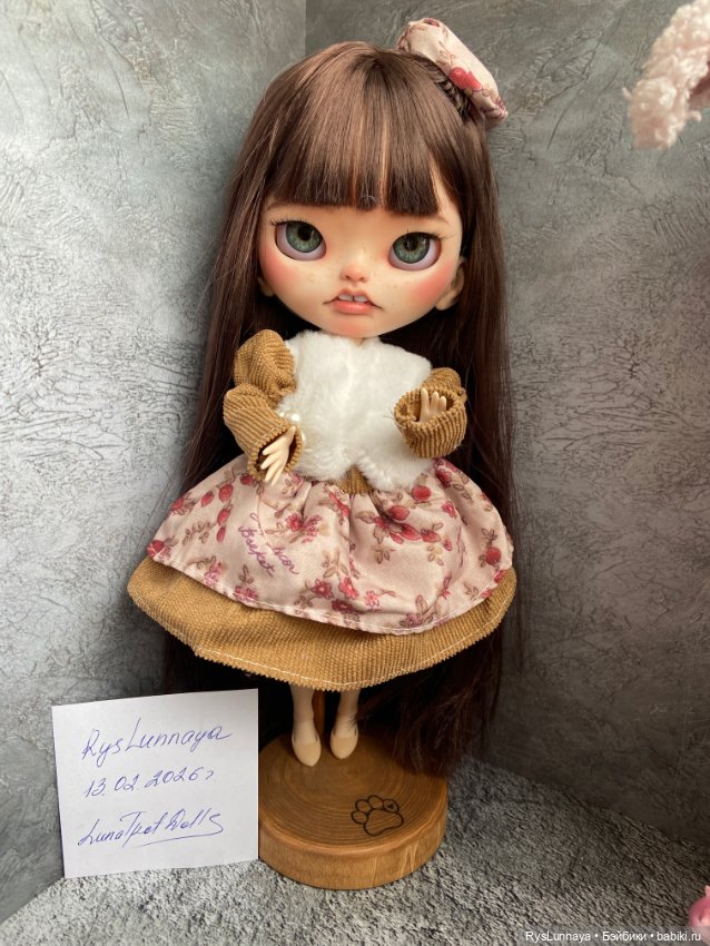 Кукла Блайз кастом — ООАК (кастом куклы)