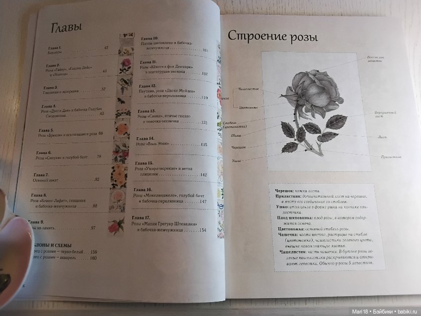 Роскошные розы из шелковых лент и органзы Объемная вышивка (фото 2)