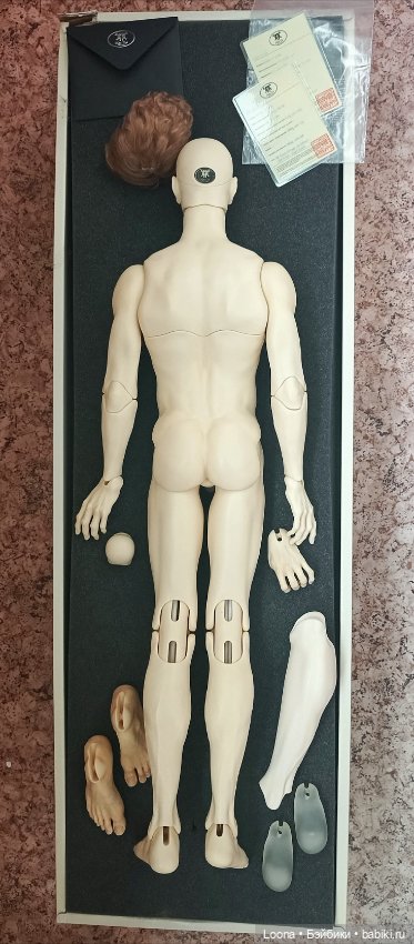 Dollshe Phillippe — Куклы BJD (фото 3)