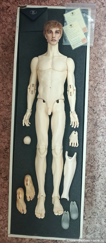 Dollshe Phillippe — Куклы BJD (фото 4)