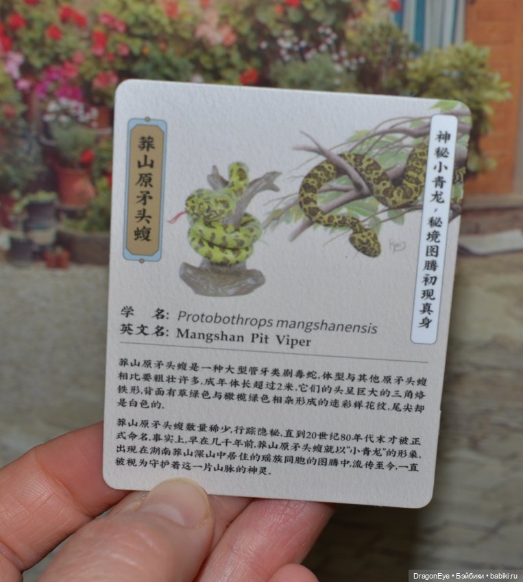 Змея Mangshan Pit Viper из серии "Рептилии" №2 (фото 10)