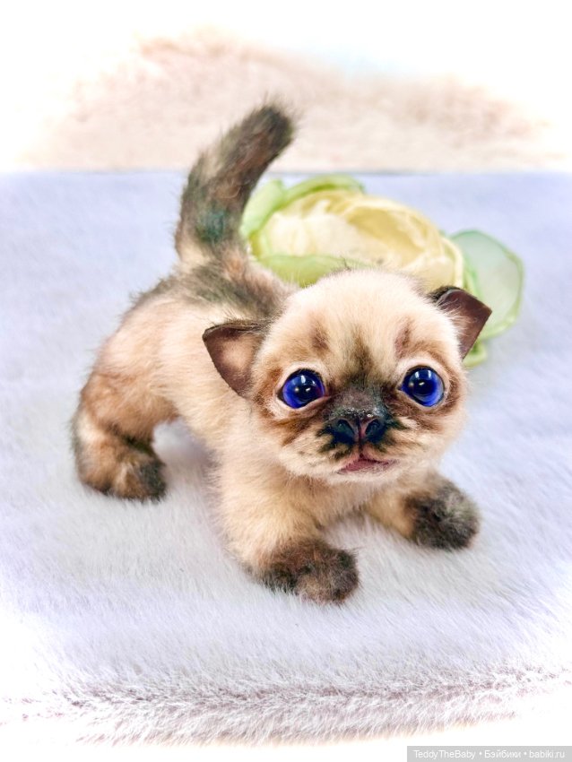 Louis — Авторские игрушки (фото 4)