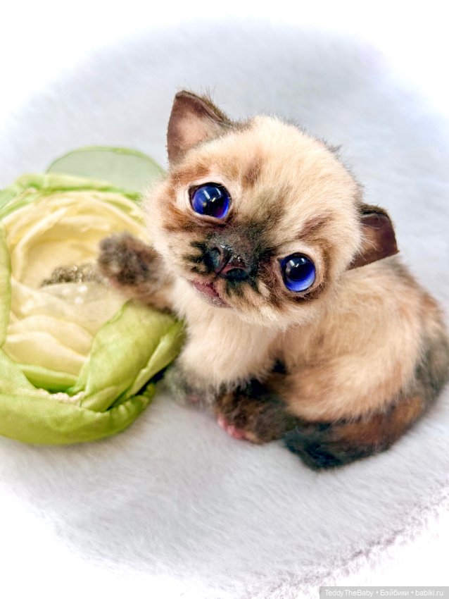 Louis — Авторские игрушки (фото 6)