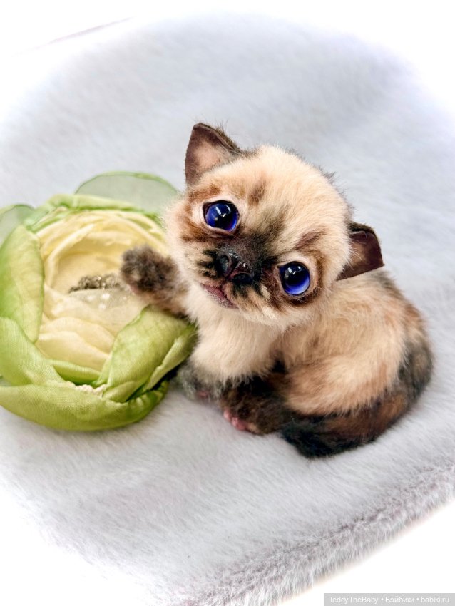 Louis — Авторские игрушки (фото 9)