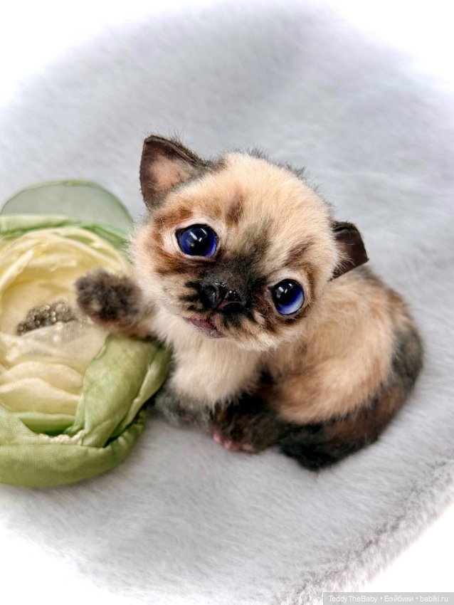 Louis — Авторские игрушки (фото 10)