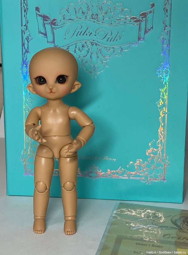 Puki Puki Pukisha, Fairyland (фото 2)