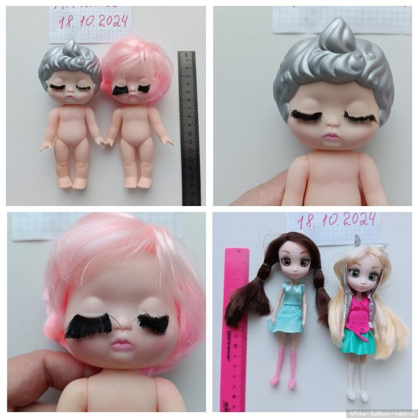 Продам малышей разных-разных: роузбадик, Эви, сибадзюку (фото 6)