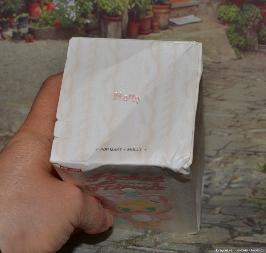 Popmart Baby Molly Pocket Friends №3