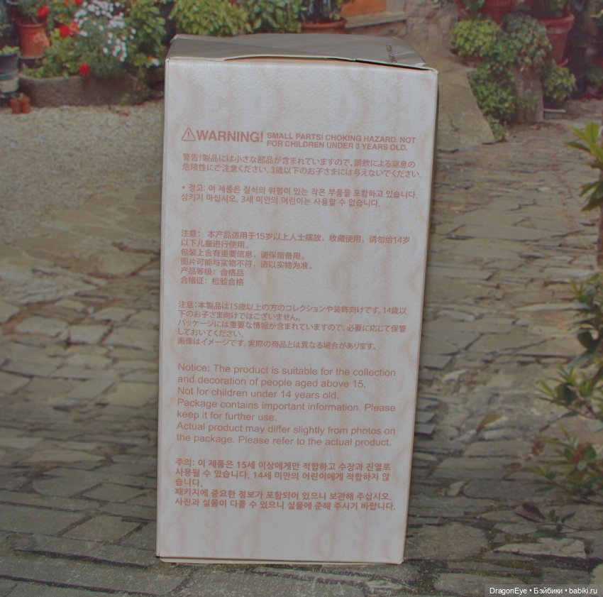 Popmart Baby Molly Pocket Friends №3