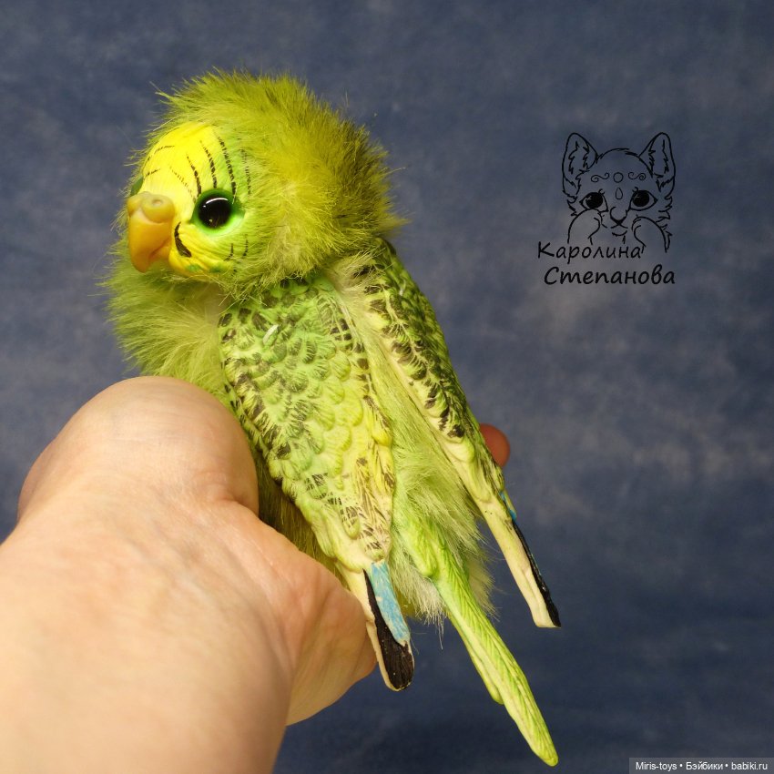 Волнистый попугайчик зеленый - желтолиций (фото 4)