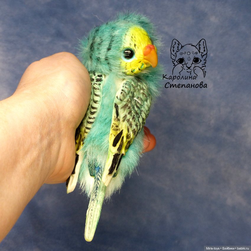 Волнистый попугайчик мятный - желтолиций