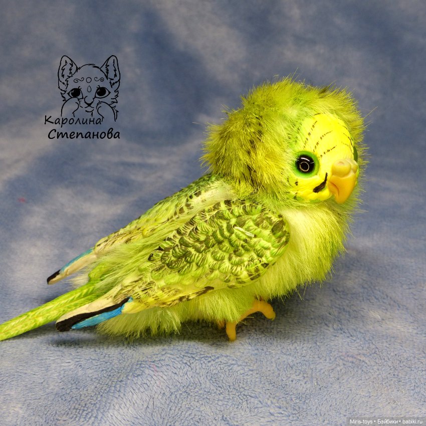 Волнистый попугайчик зеленый - желтолиций