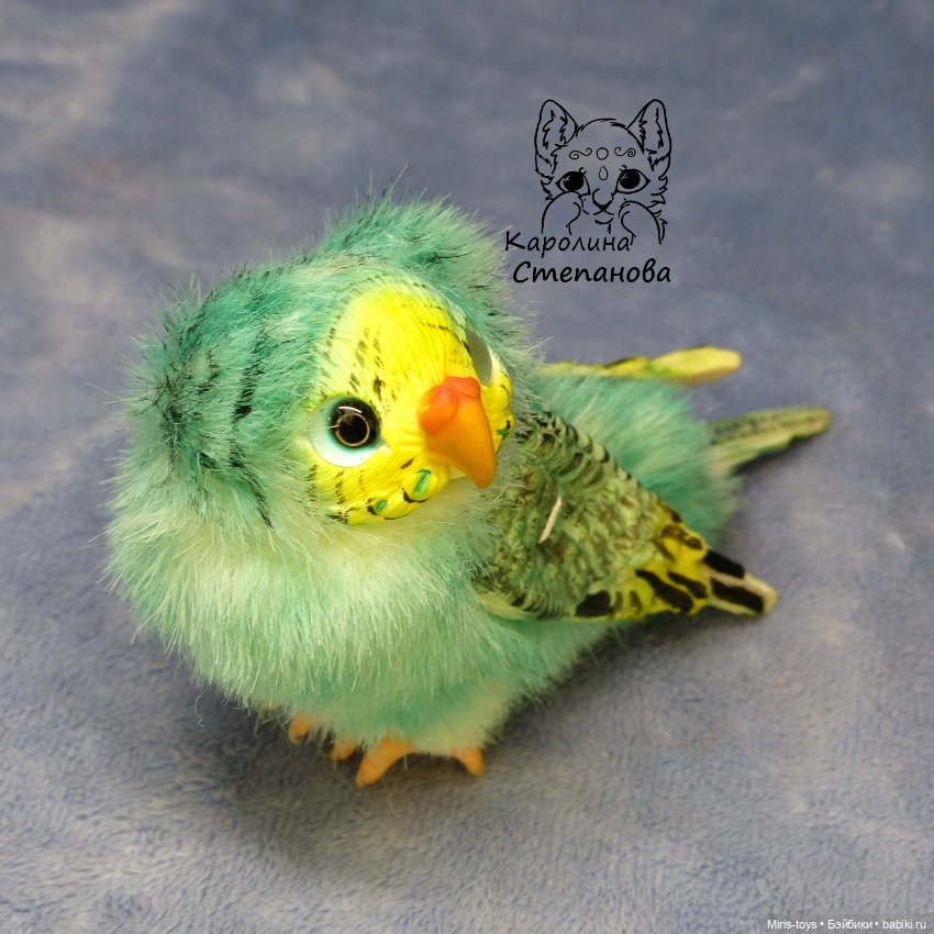 Волнистый попугайчик мятный - желтолиций (фото 4)